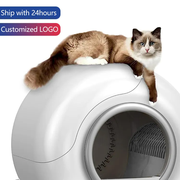 Cutie automată pentru pisici CONTROL SMART CONTROL DE APLICARE